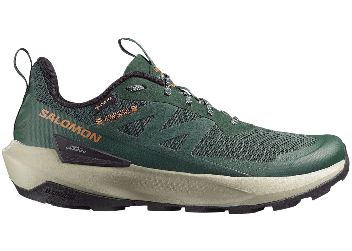Salomon Elixir Activ Gore-Tex Scarab Green Gable