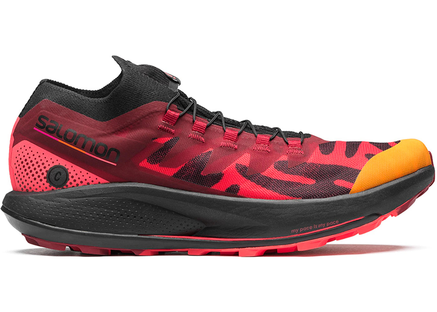 salomon pulsar trail pro ciele
