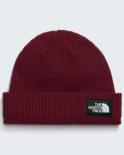 The North Face Salty Lined Beanie
