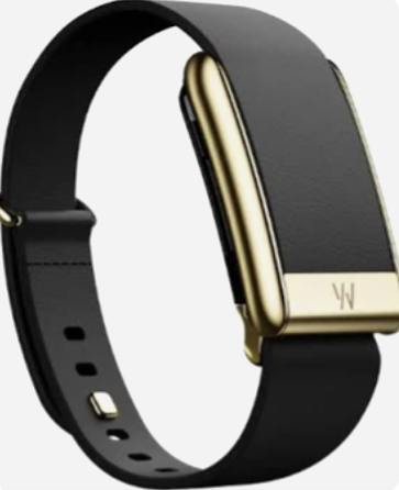 Whoop 5.0 Leatherluxe 5.0 Peak Black  with Gold Band - Only Strap
