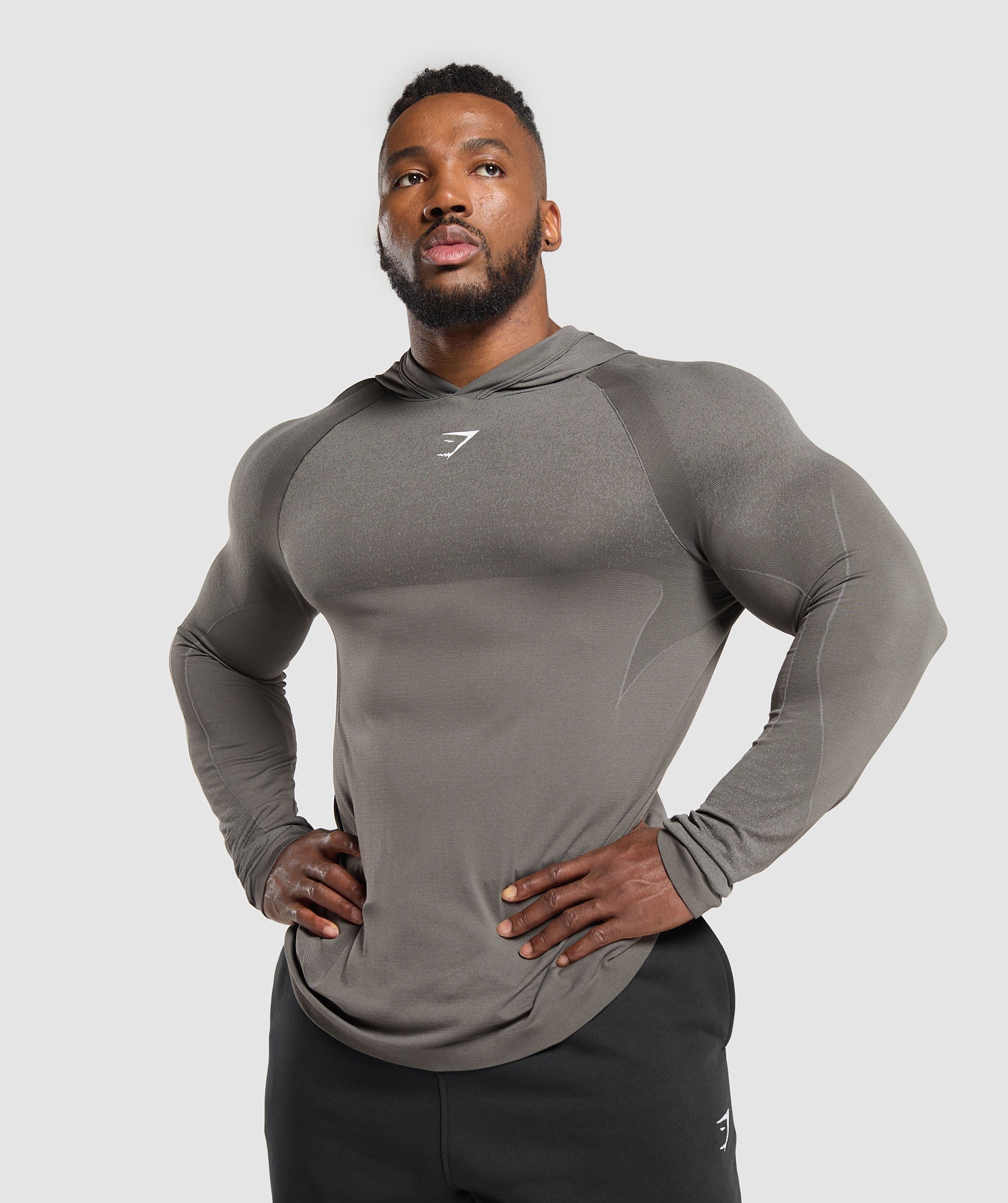 Gymshark Shadow Seamless Hoodie Meteor Grey