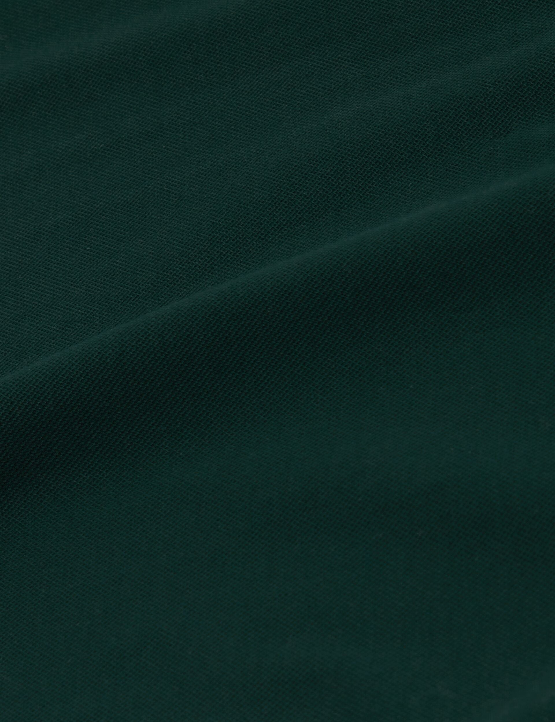 #color_dark-green