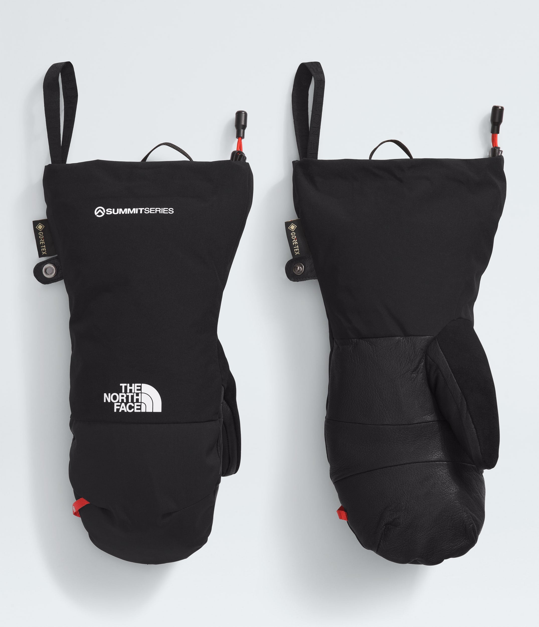 #color_tnf-black