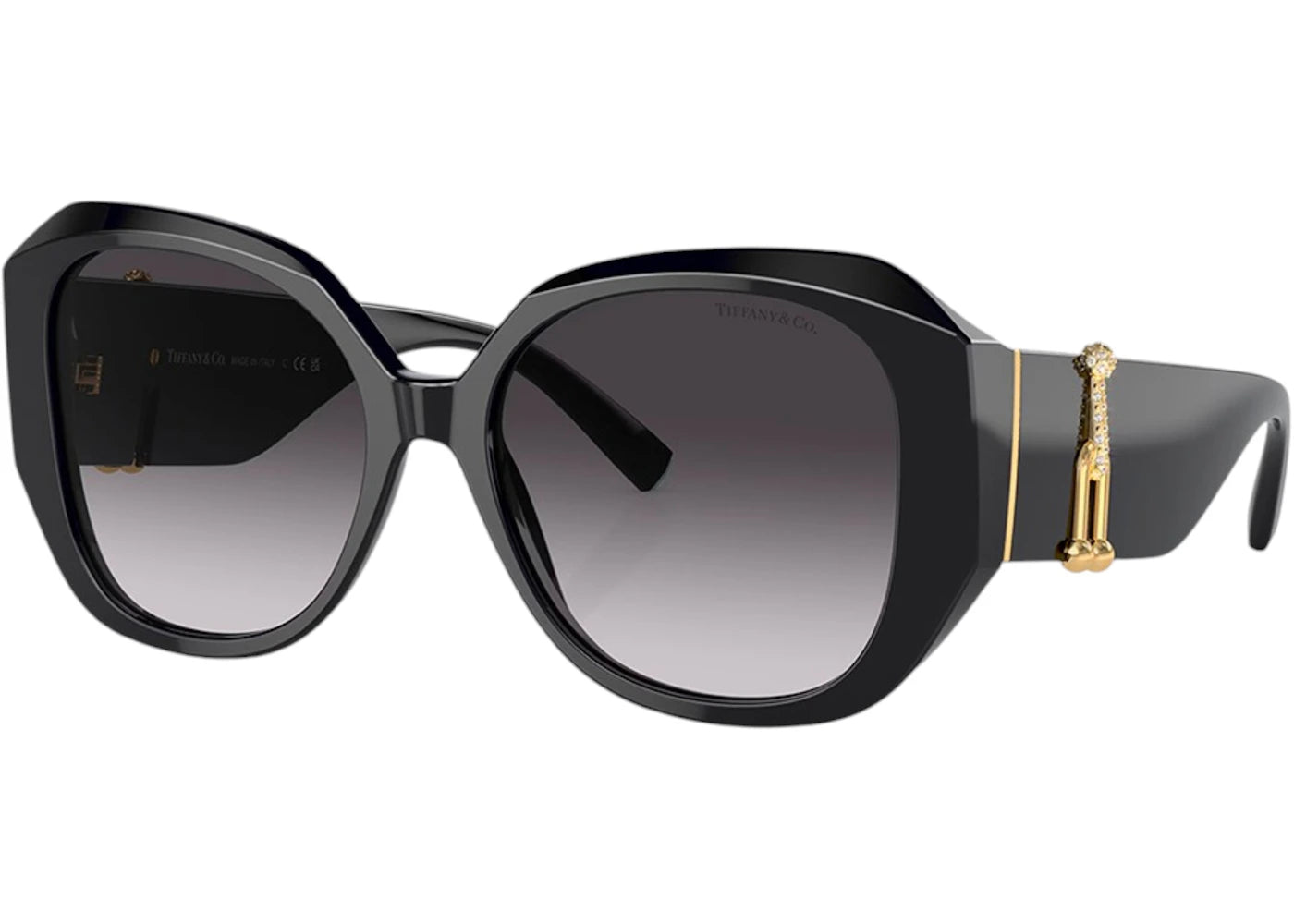 Tiffany & Co. 4207B 80113C Sunglasses Black