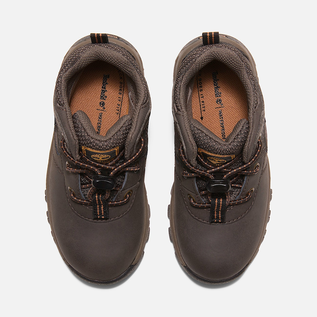 Timberland Toddler Mt. Maddsen Waterproof Mid Hiking Boot Dark Brown