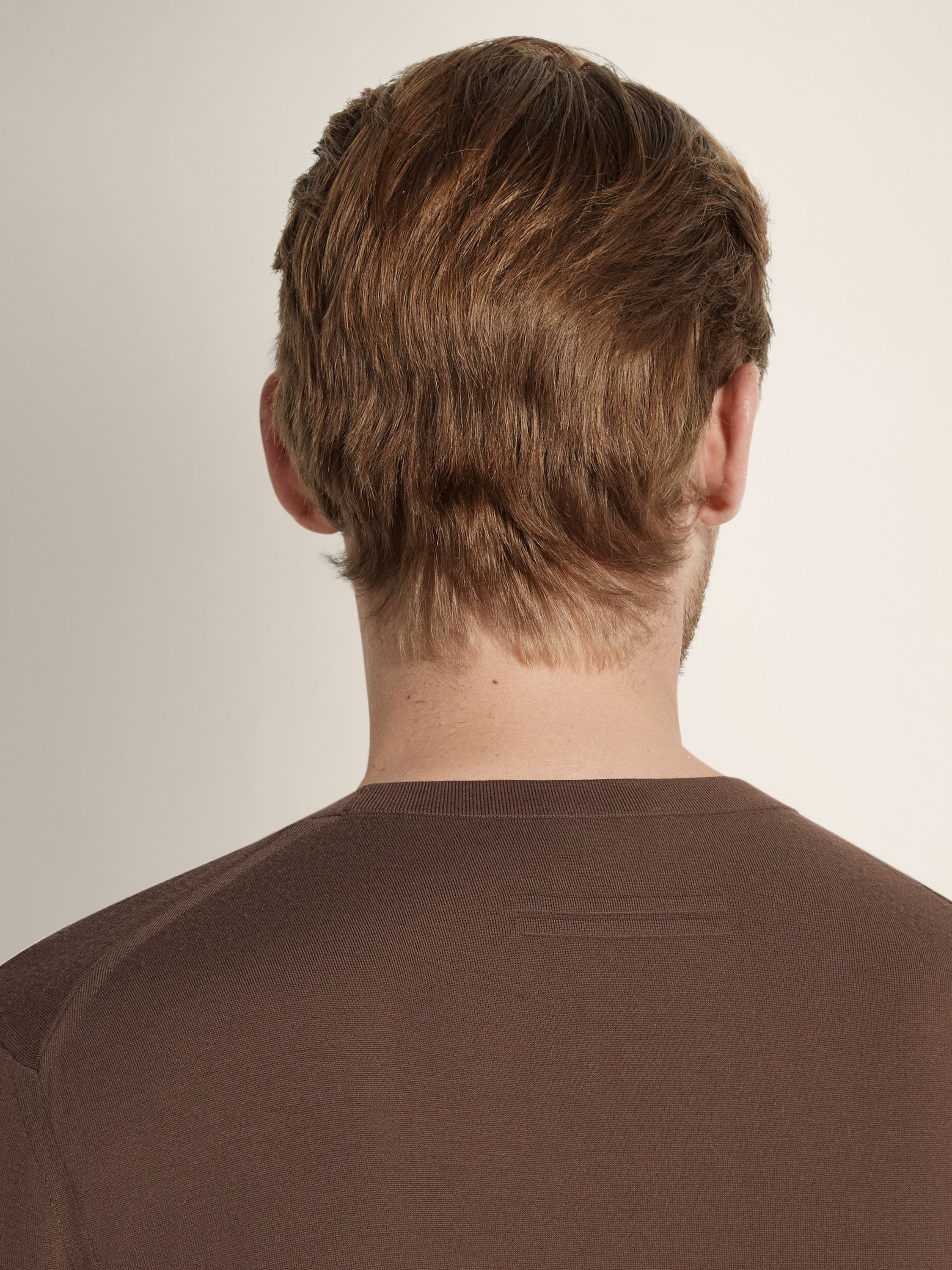 Zegna Brown Vellus Aureum Crewneck