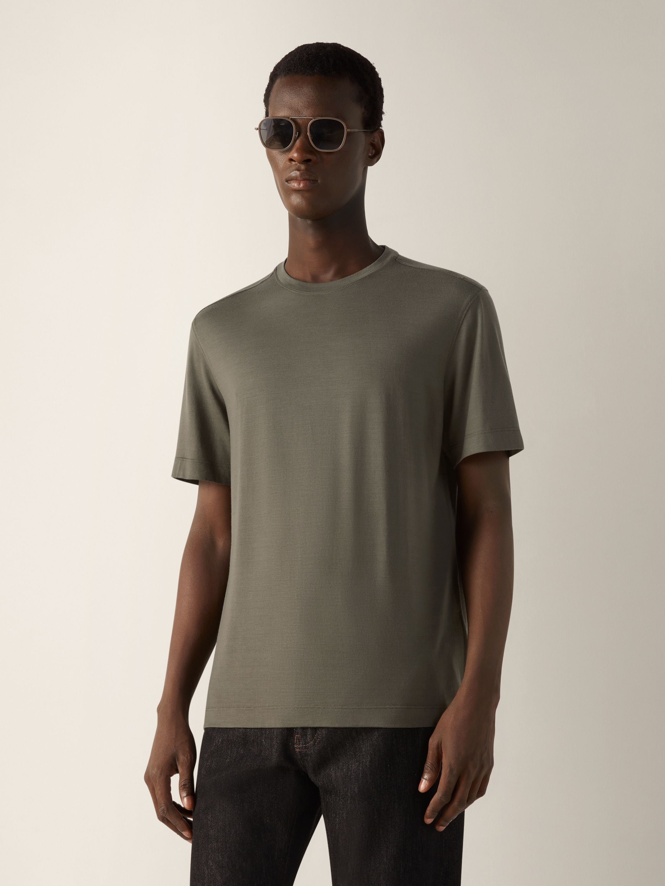 Zegna Dark Taupe Vellus Aureum T-Shirt