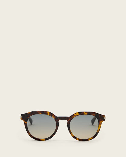 AllSaints Van Panto Framed Sunglasses Women's Dark Tort Women's