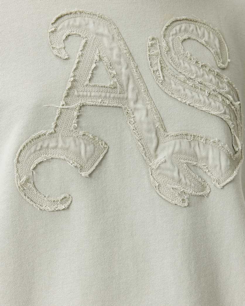 AllSaints Insignia Pippa Crew Neck Sweatshirt Women's Crystal Pink Women's
