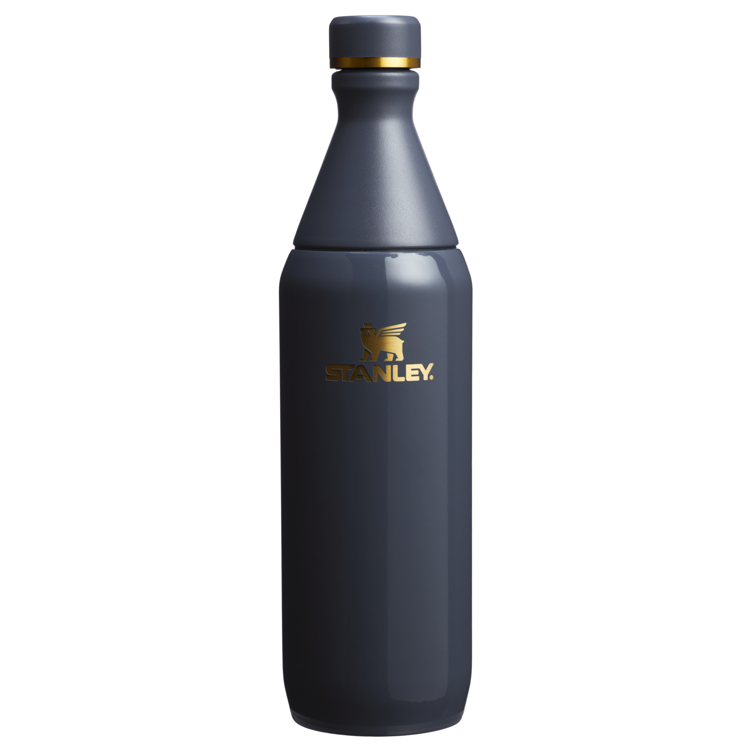 Stanley All Day Slim Bottle | 20 OZ Twilight Twilight