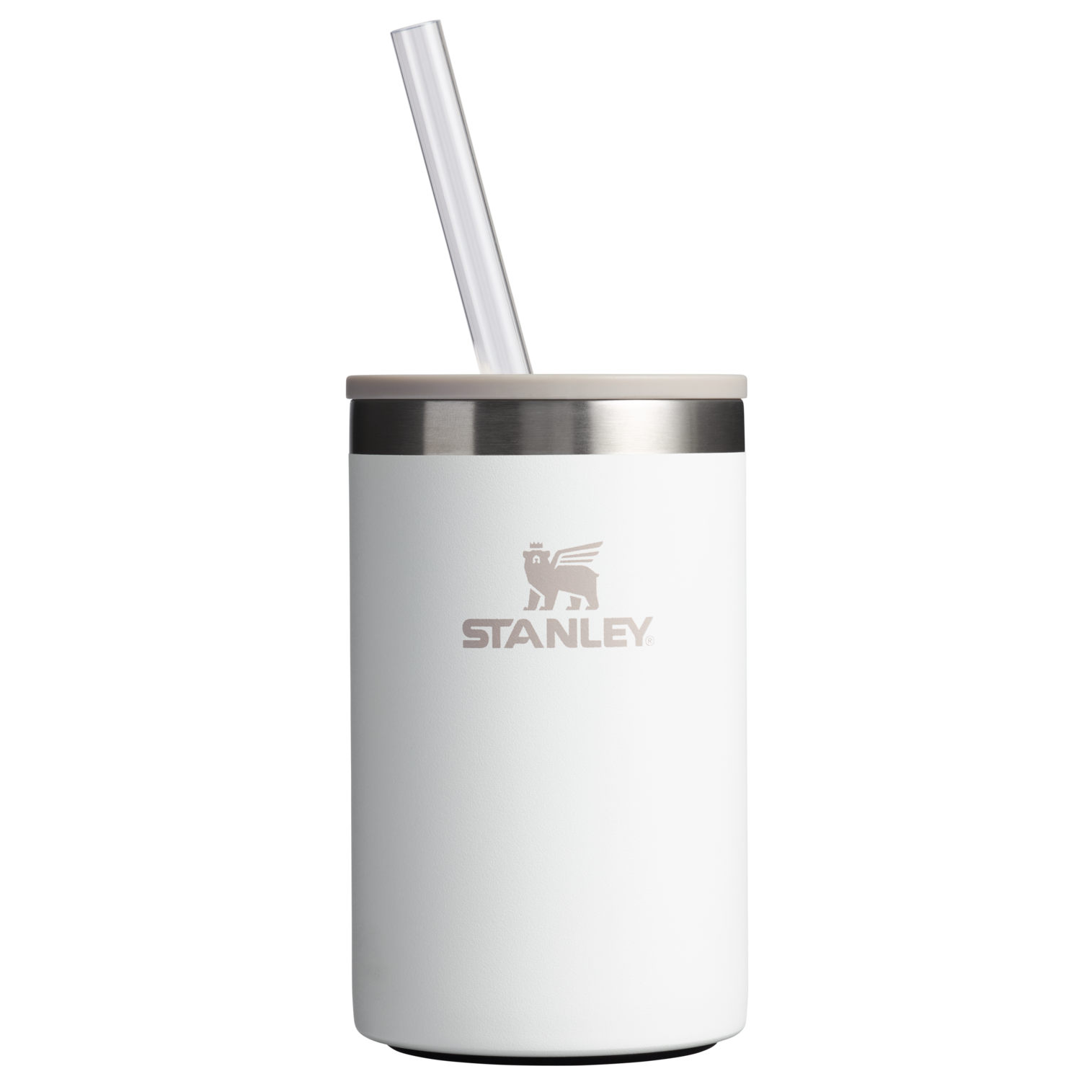The Everyday Can Cooler Cup | 10 OZ Frost Frost