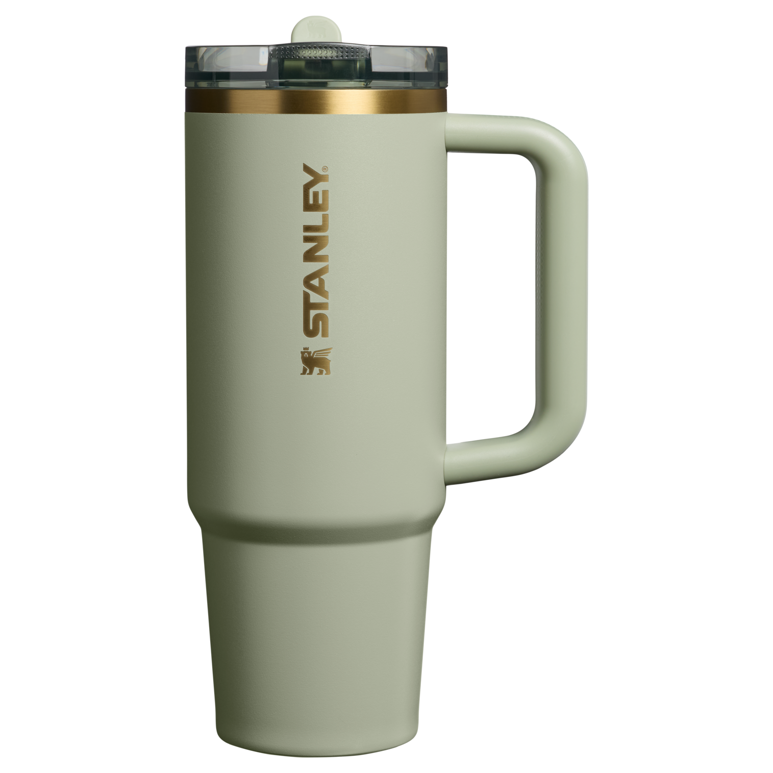 Stanley The Quencher ProTour Flip Straw Tumbler | 30 OZ Juniper Juniper