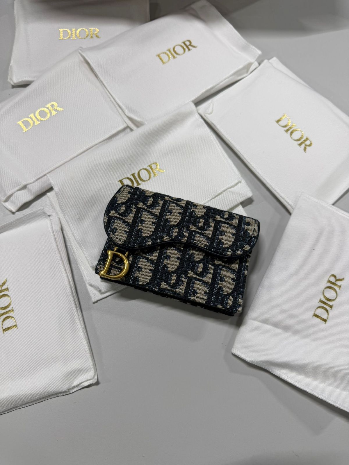 Dior Saddle Card Holder (Brand new in dust bag)