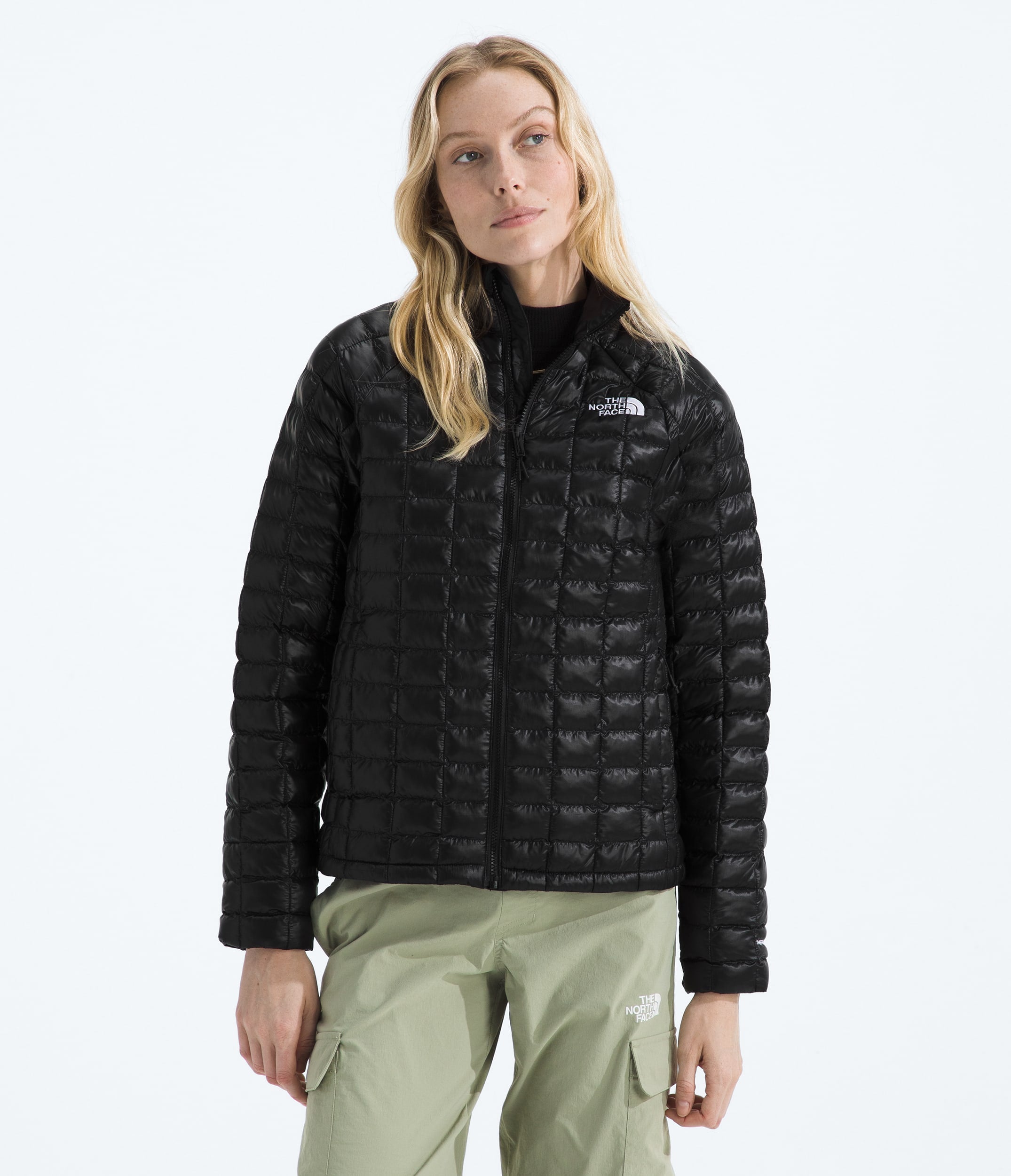 #color_tnf-black