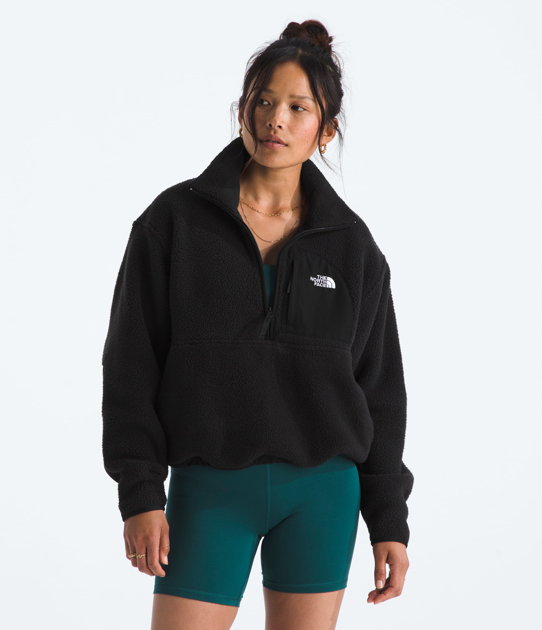 #color_tnf-black