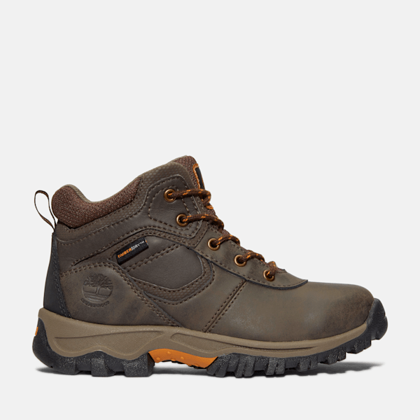 Timberland Youth Mt Maddsen Mid Waterproof Hiking Boot Dark Brown