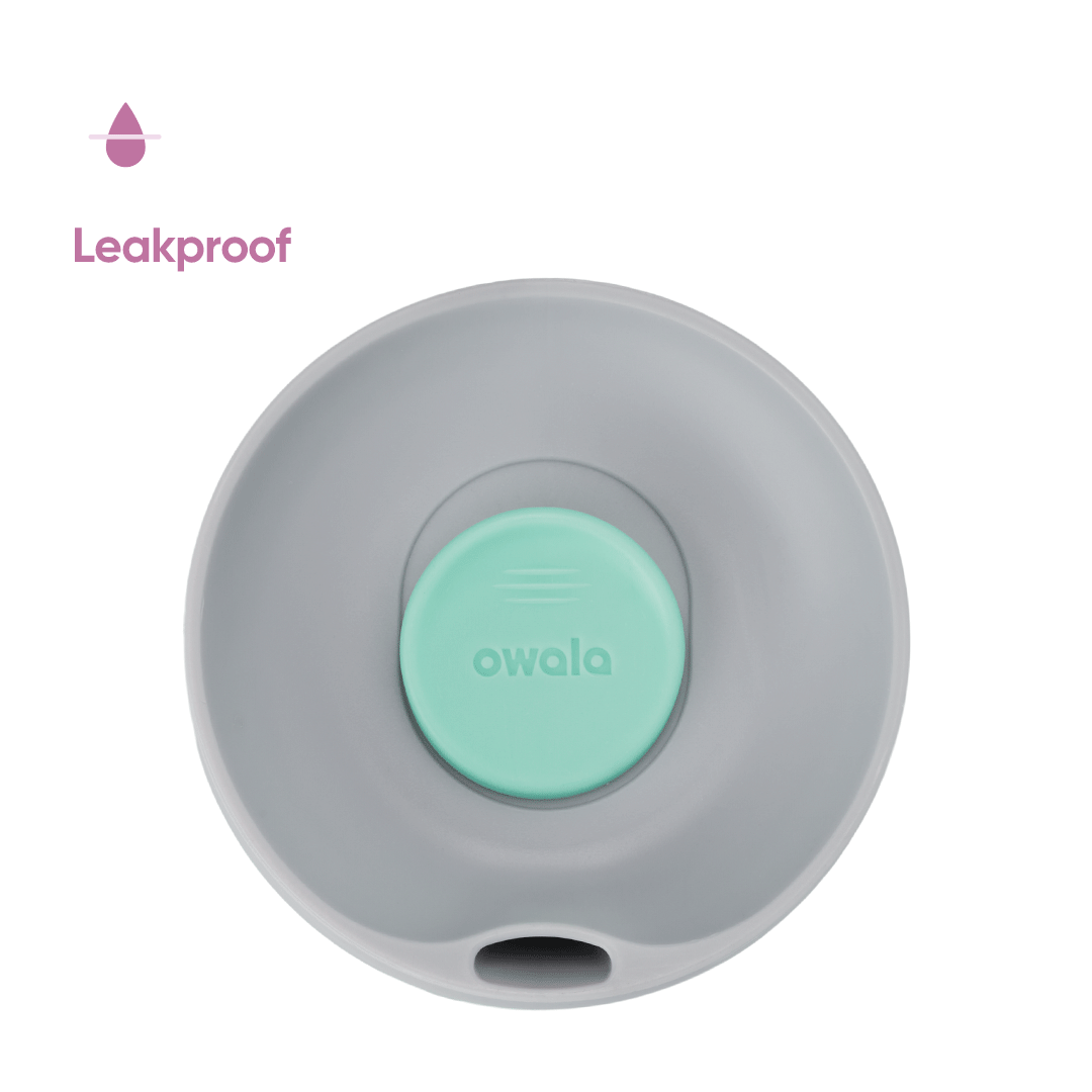  Owala Smoothsip Slider Plum Perfect