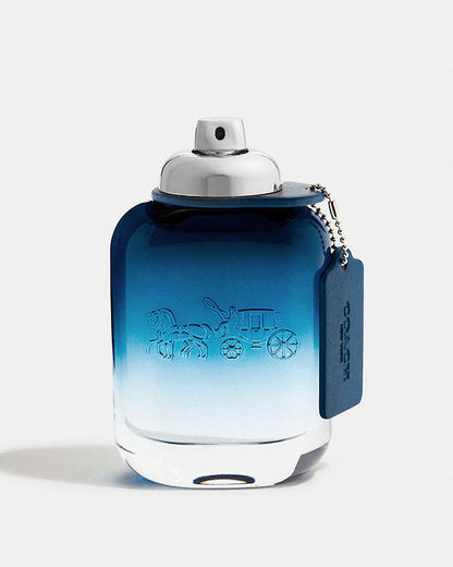 Coach Blue Eau De Toilette 100 Ml Multi Multi