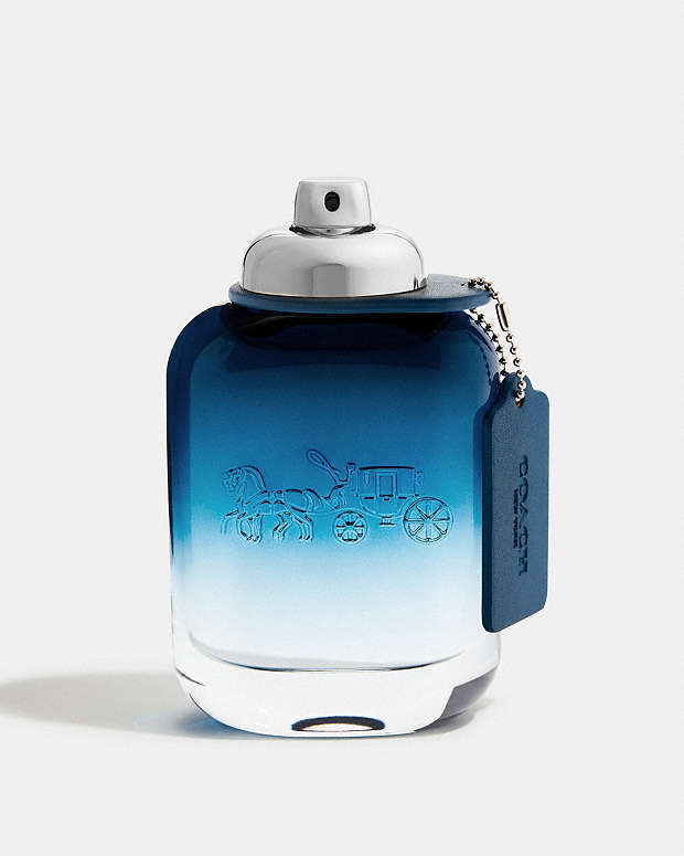 Coach Blue Eau De Toilette 100 Ml Multi Multi