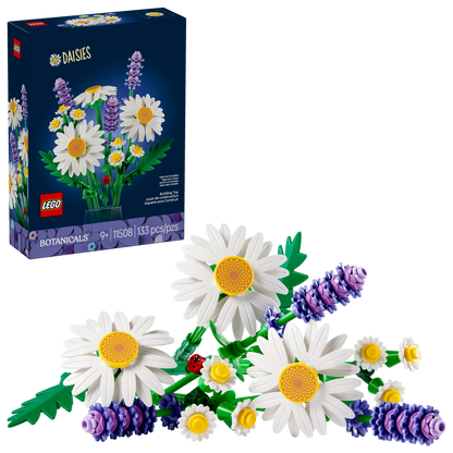 LEGO Botanicals Daisies, front