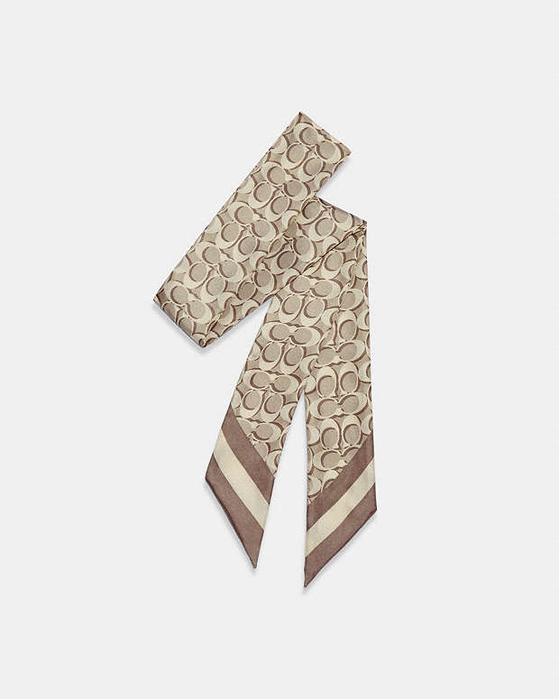 Signature Print Silk Skinny Scarf Bone Bone