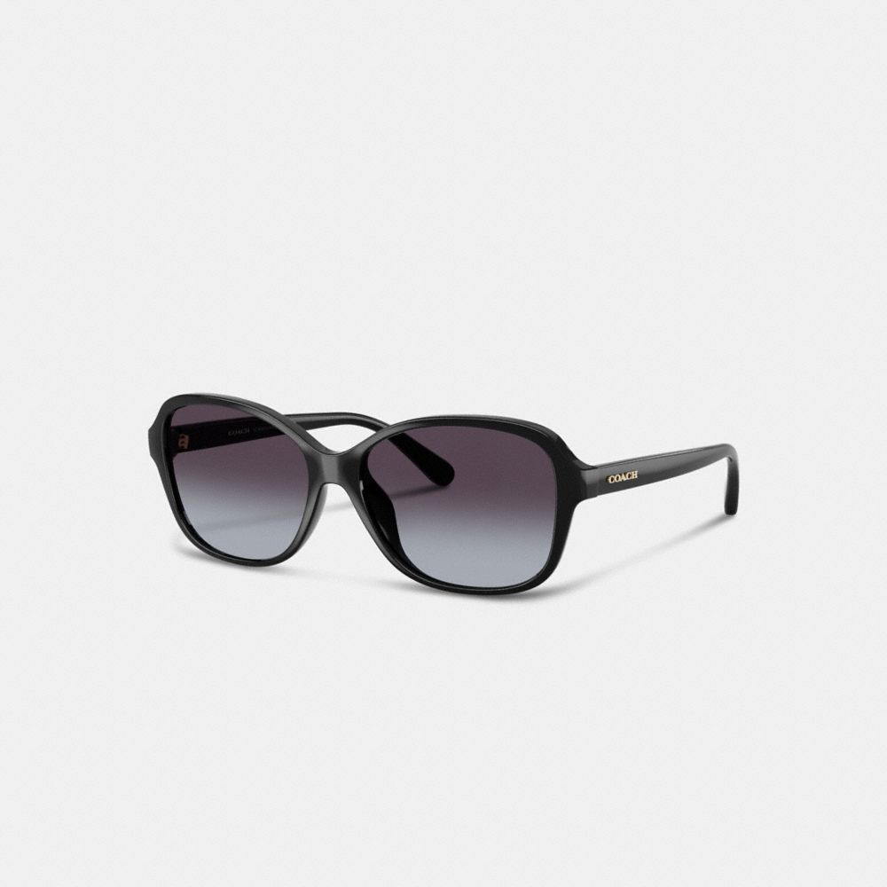 Coach Oversized Oval Sunglasses Black
