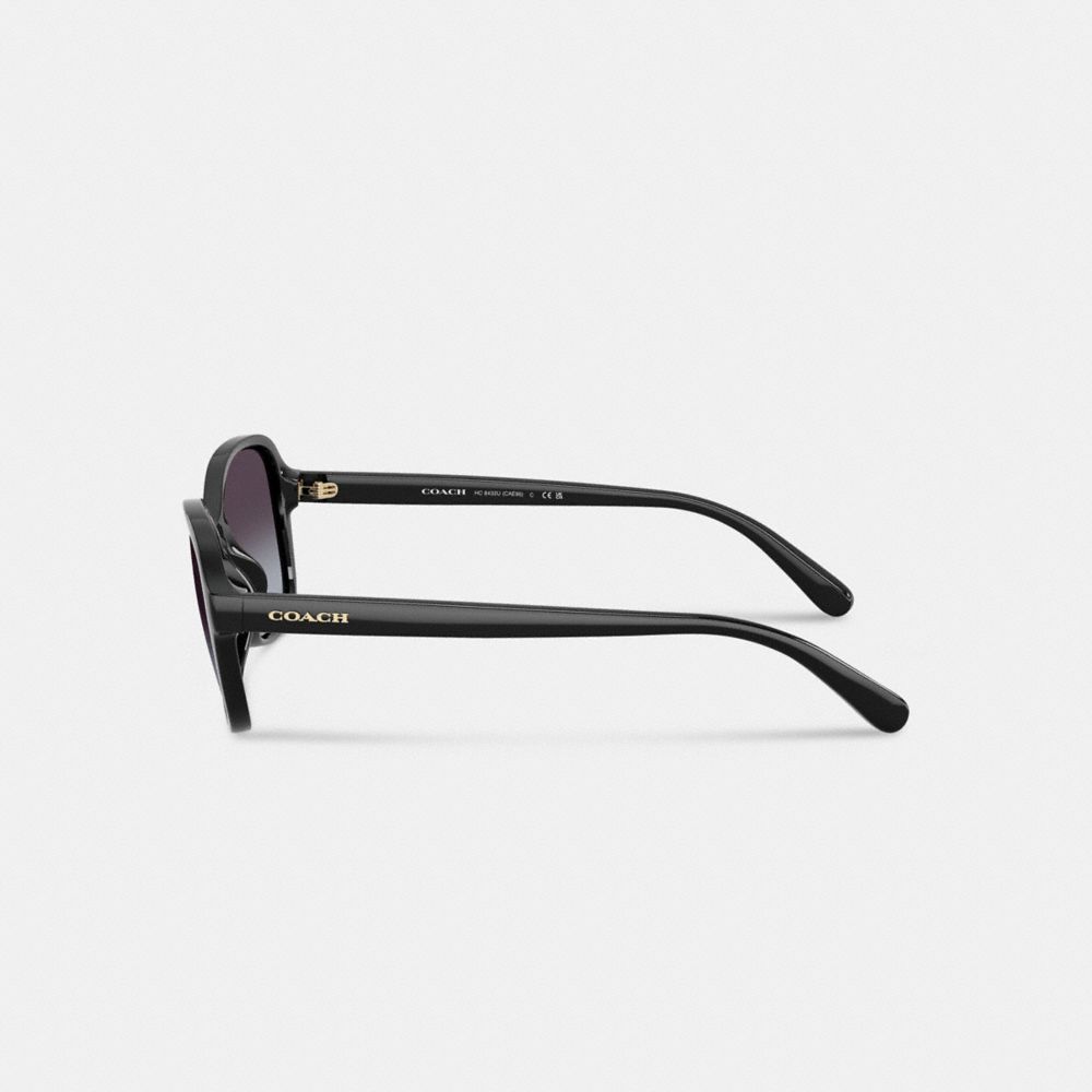 Coach Oversized Oval Sunglasses Black