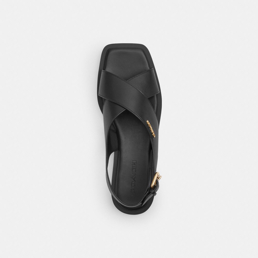 Coach Link Criss Cross Sandal Black