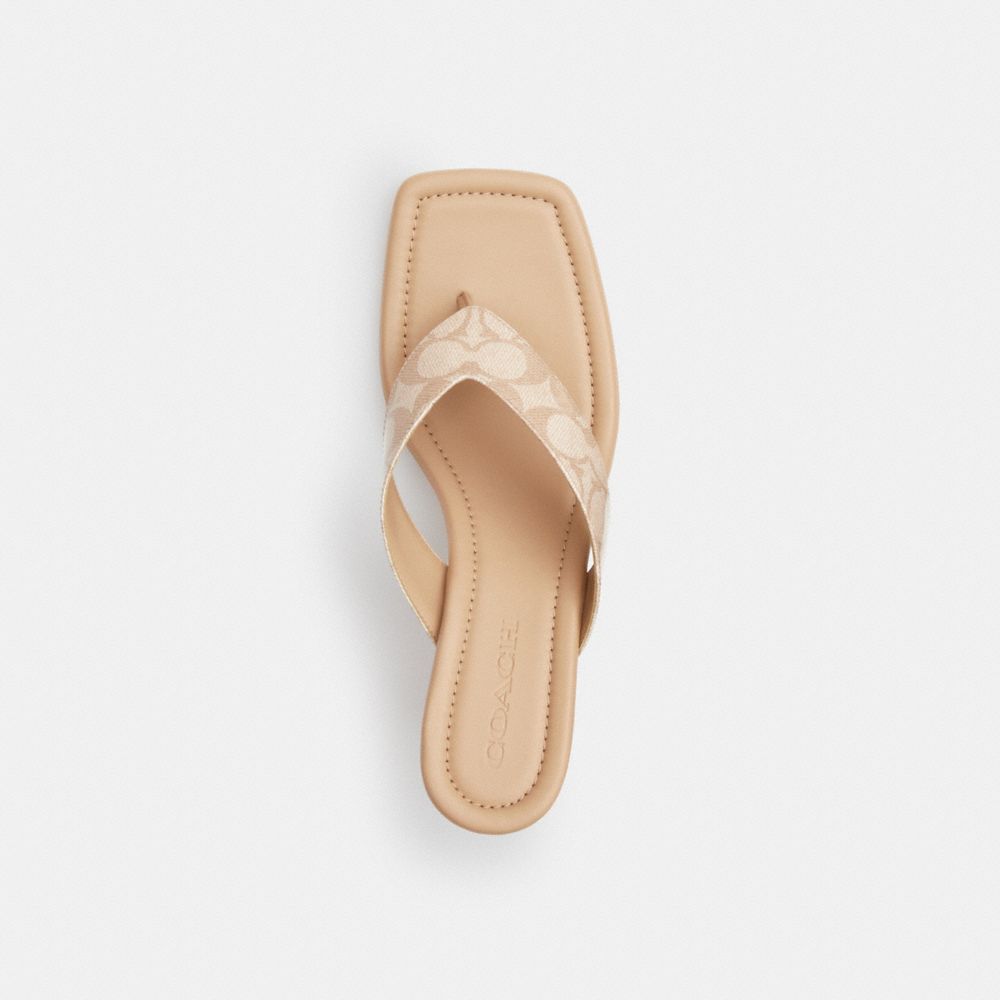 Coach Kitten Heel In Signature Canvas Beechwood
