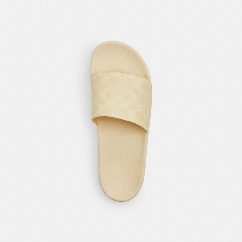 Coach Udele Sport Slide In Signature Canvas Hay