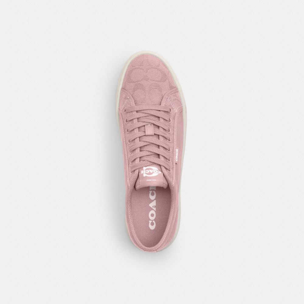 Coach Canvas Sneaker Carnation Chalk