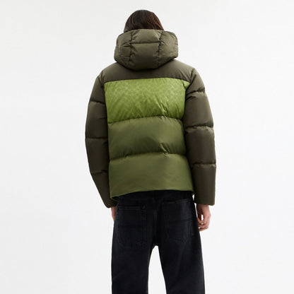 Coach Colorblock Down Jacket Green Multi
