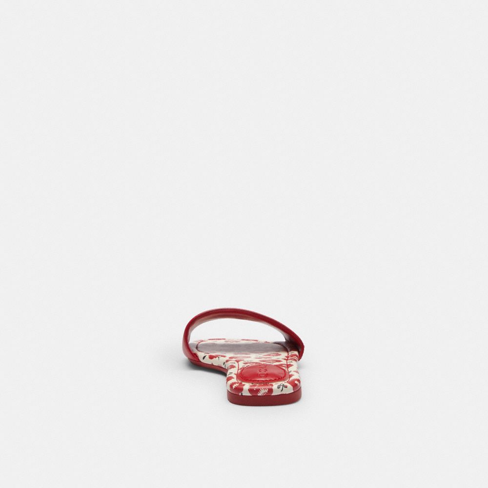 Coach Slide Sandal With Floral Print Bold Red