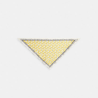 Coach Evelyn Floral Print Silk Triangle Scarf Yellow Chalk
