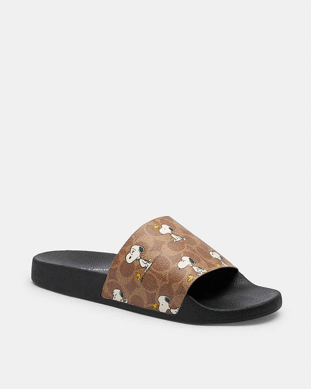 Coach X Peanuts Pool Slide In Signature Canvas With Snoopy Print Tan Tan