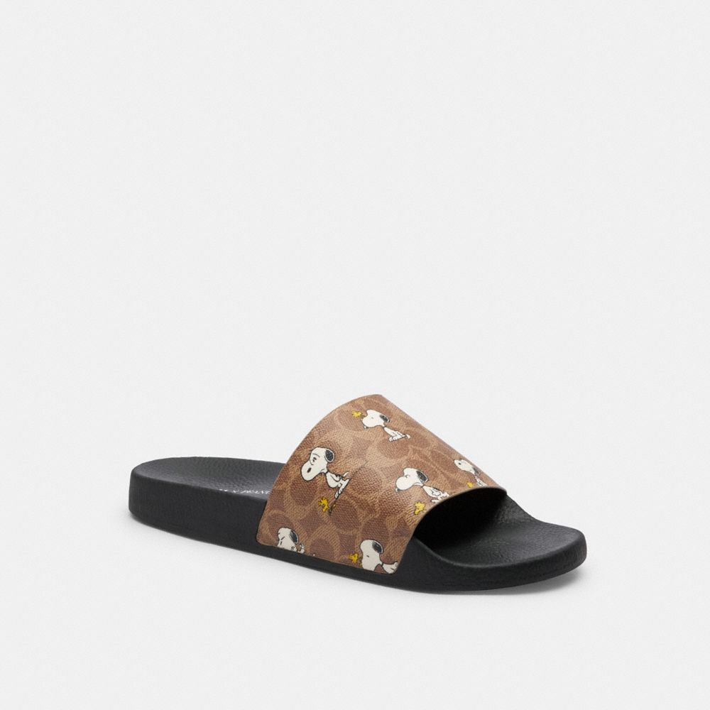 Coach X Peanuts Pool Slide In Signature Canvas With Snoopy Print Tan Tan