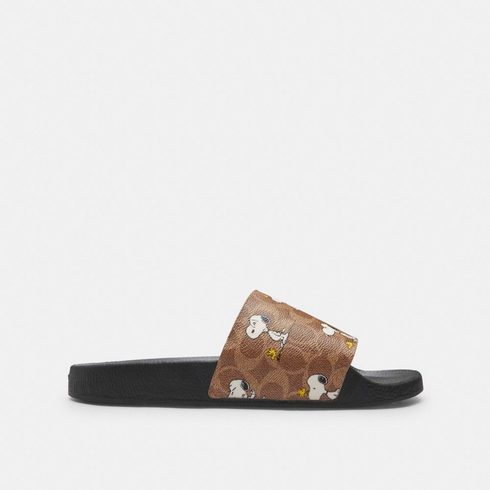 Coach X Peanuts Pool Slide In Signature Canvas With Snoopy Print Tan Tan