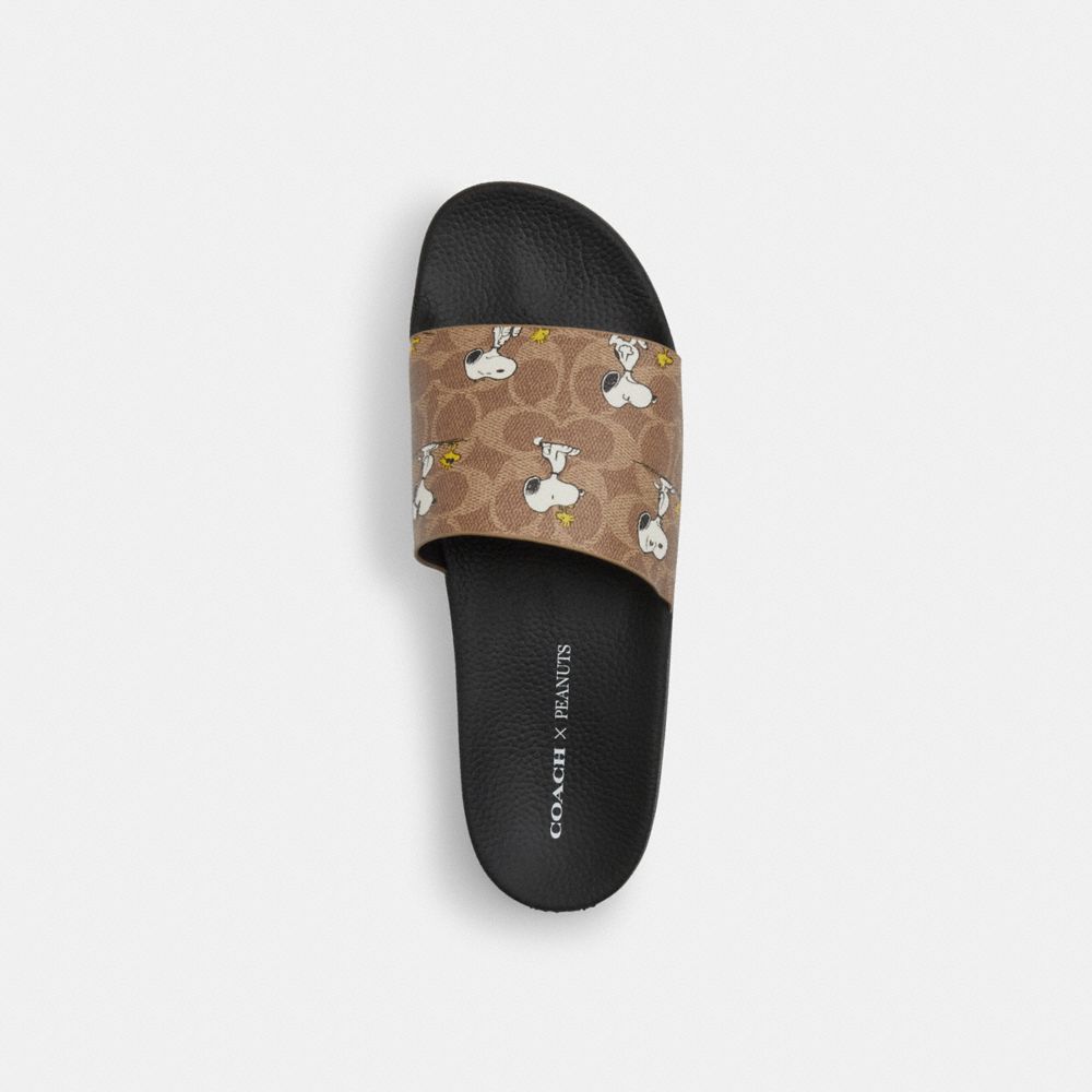 Coach X Peanuts Pool Slide In Signature Canvas With Snoopy Print Tan Tan