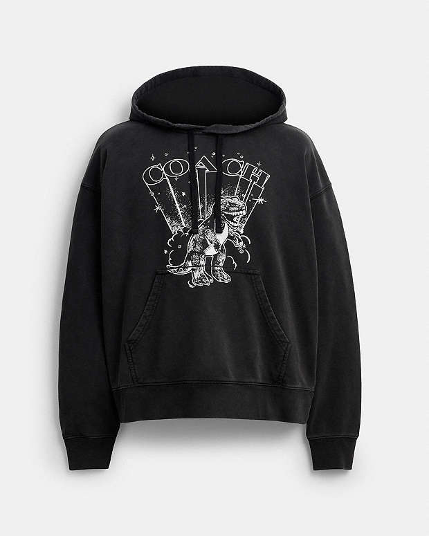 Rexy Hoodie Washed Black Washed Black