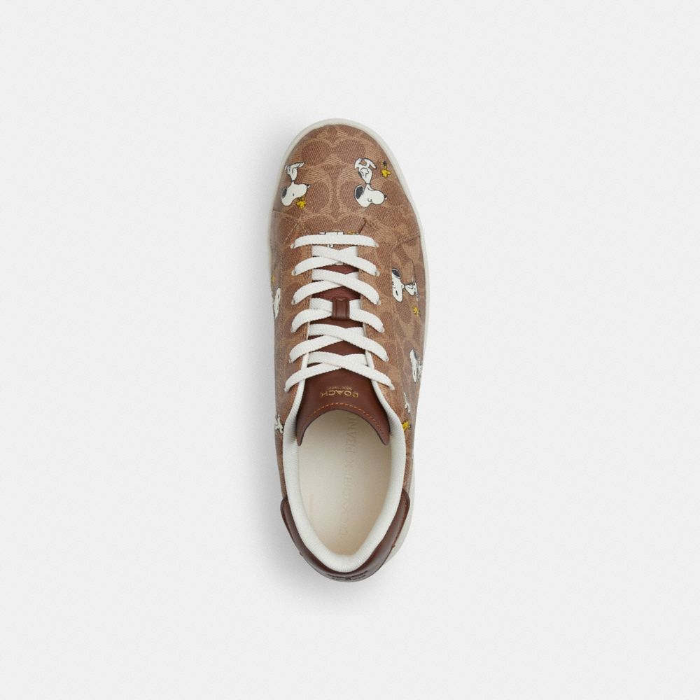 Coach Coach X Peanuts High Line Sneaker In Signature Canvas With Snoopy Print Tan