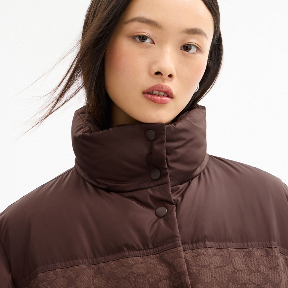 Coach Signature Down Jacket Maple