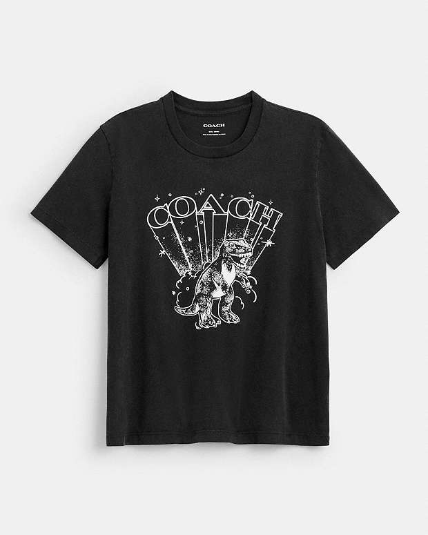 Playful Rexy Classic T Shirt In Organic Cotton Washed Black Washed Black