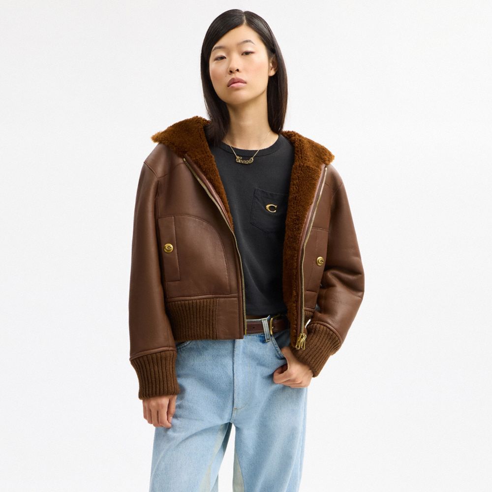 Coach Reversible Shearling Hoodie Brown