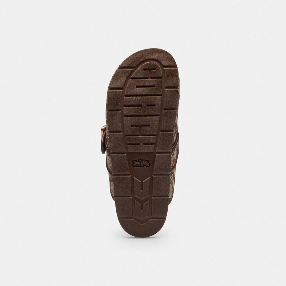 Coach Archival Buckle Clog In Signature Jacquard Oak Maple