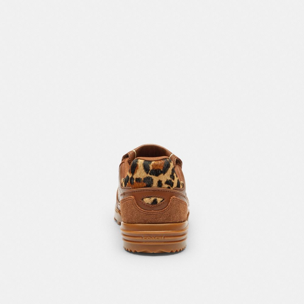 Women's Coach Match Sneaker With Leopard Print Sable Multi