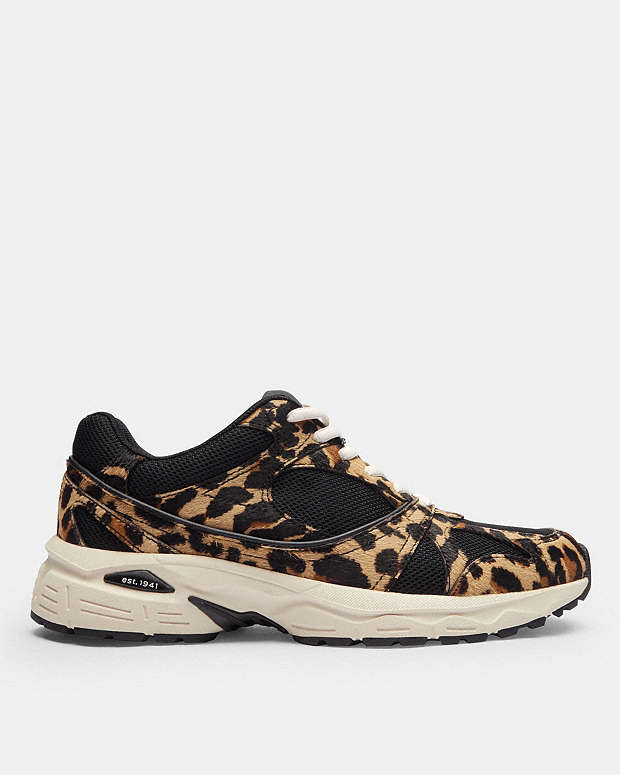 Sport Sneaker With Leopard Print Black-Leopard Black-Leopard