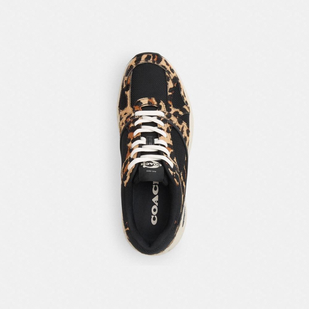 Women's Coach Sport Sneaker With Leopard Print Black Leopard