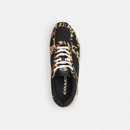 Women's Coach Sport Sneaker With Leopard Print Black Leopard