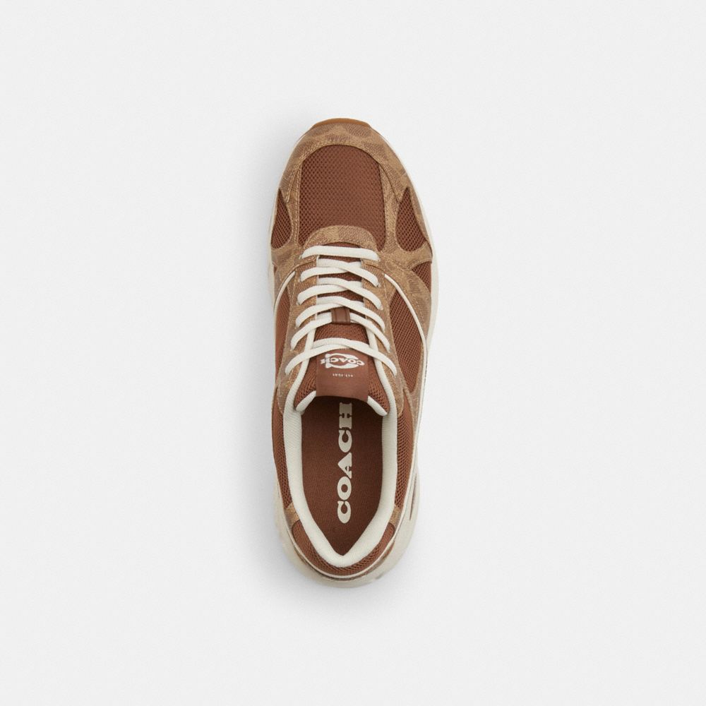 Men's Coach Sport Sneaker In Signature Canvas Sable Multi