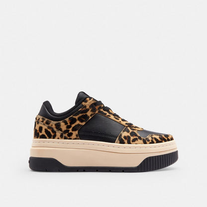 Coach Platform Sneaker With Leopard Print Black Leopard